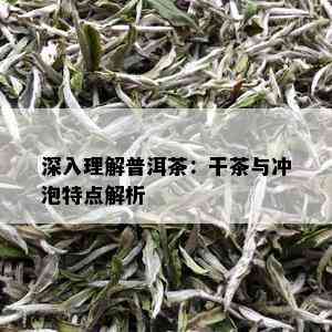 深入理解普洱茶：干茶与冲泡特点解析