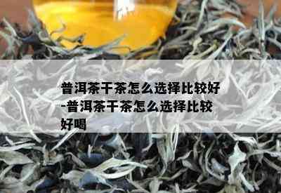 普洱茶干茶怎么选择比较好-普洱茶干茶怎么选择比较好喝