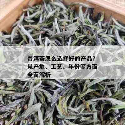 普洱茶怎么选择好的产品？从产地、工艺、年份等方面全面解析