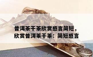 普洱茶干茶欣赏感言简短，欣赏普洱茶干茶：简短感言