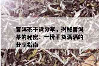 普洱茶干货分享，揭秘普洱茶的秘密：一份干货满满的分享指南