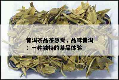 普洱茶品茶感受，品味普洱：一种独特的茶品体验