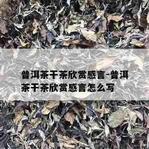 普洱茶干茶欣赏感言-普洱茶干茶欣赏感言怎么写