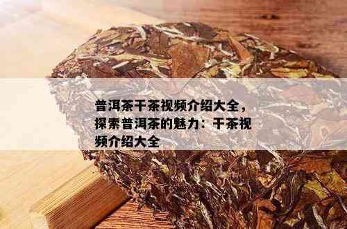 普洱茶干茶视频介绍大全，探索普洱茶的魅力：干茶视频介绍大全