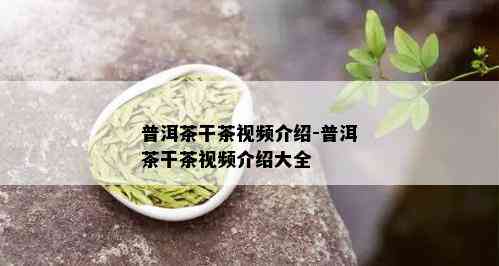 普洱茶干茶视频介绍-普洱茶干茶视频介绍大全