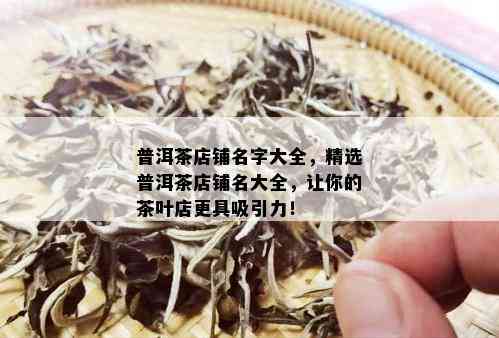 普洱茶店铺名字大全，精选普洱茶店铺名大全，让你的茶叶店更具吸引力！