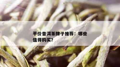 平价普洱茶牌子推荐：哪些值得购买？