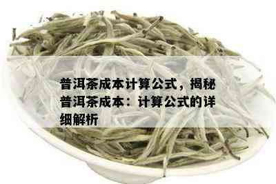 普洱茶成本计算公式，揭秘普洱茶成本：计算公式的详细解析