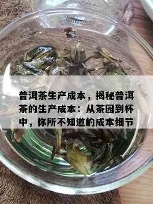 普洱茶生产成本，揭秘普洱茶的生产成本：从茶园到杯中，你所不知道的成本细节