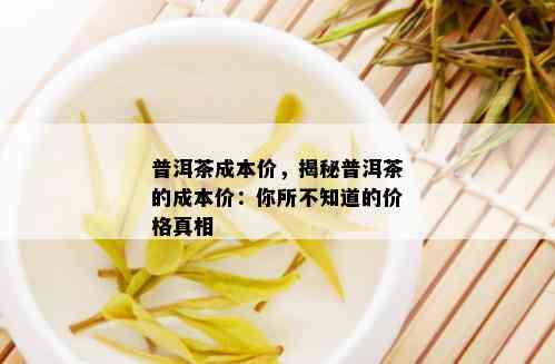 普洱茶成本价，揭秘普洱茶的成本价：你所不知道的价格真相