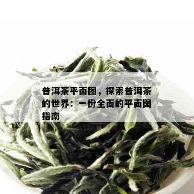 普洱茶平面图，探索普洱茶的世界：一份全面的平面图指南