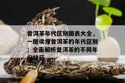 普洱茶年代区别图表大全，一图读懂普洱茶的年代区别：全面解析普洱茶的不同年份特征