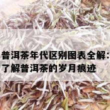 普洱茶年代区别图表全解：了解普洱茶的岁月痕迹