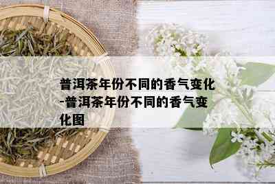 普洱茶年份不同的香气变化-普洱茶年份不同的香气变化图