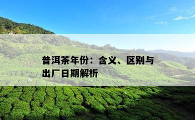 普洱茶年份：含义、区别与出厂日期解析