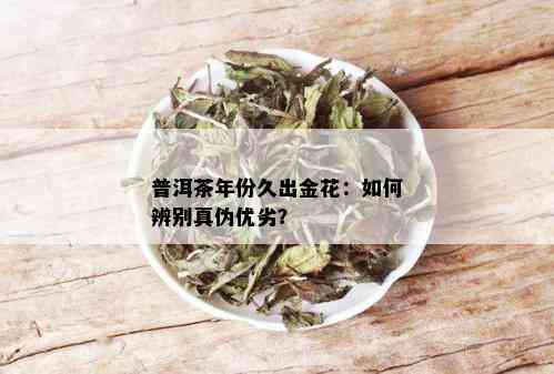 普洱茶年份久出金花：如何辨别真伪优劣？