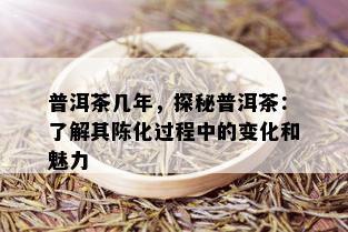 普洱茶几年，探秘普洱茶：了解其陈化过程中的变化和魅力