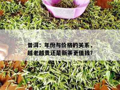 普洱：年份与价格的关系，越老越贵还是新茶更值钱？