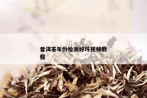 普洱茶年份检测好坏视频教程