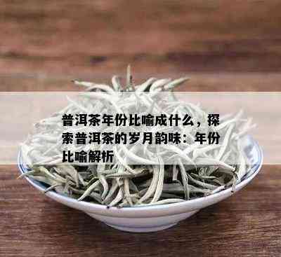 普洱茶年份比喻成什么，探索普洱茶的岁月韵味：年份比喻解析