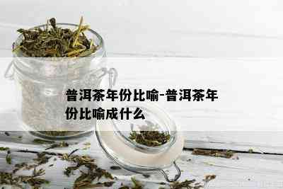 普洱茶年份比喻-普洱茶年份比喻成什么