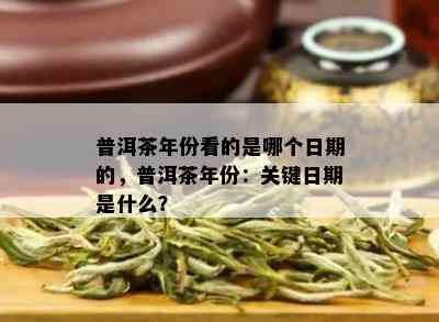 普洱茶年份看的是哪个日期的，普洱茶年份：关键日期是什么？