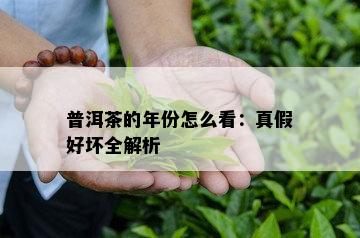 普洱茶的年份怎么看：真假好坏全解析