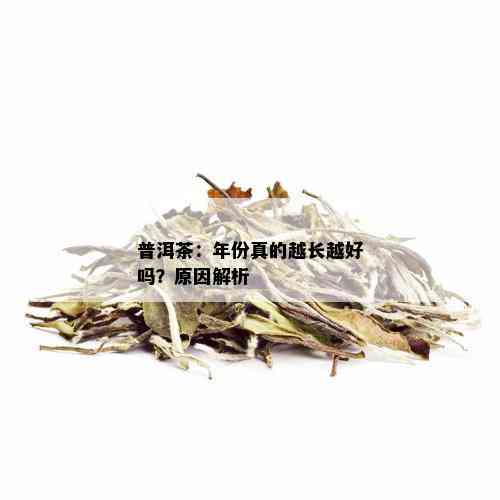 普洱茶：年份真的越长越好吗？原因解析