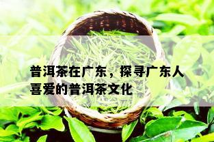 普洱茶在广东，探寻广东人喜爱的普洱茶文化