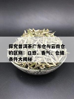 探究普洱茶广东仓与云南仓的区别：口感、香气、仓储条件大揭秘