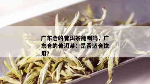 广东仓的普洱茶能喝吗，广东仓的普洱茶：是否适合饮用？