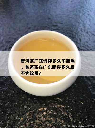 普洱茶广东储存多久不能喝，普洱茶在广东储存多久后不宜饮用？