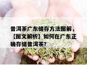 普洱茶广东储存方法图解，【图文解析】如何在广东正确存储普洱茶？