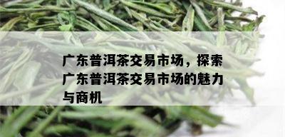 广东普洱茶交易市场，探索广东普洱茶交易市场的魅力与商机