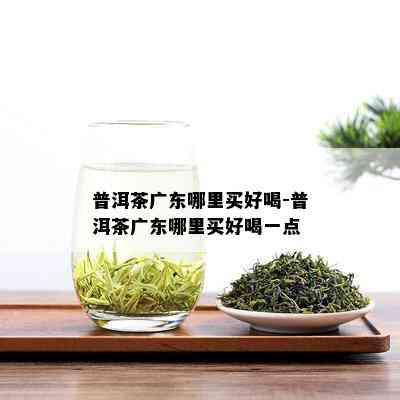 普洱茶广东哪里买好喝-普洱茶广东哪里买好喝一点