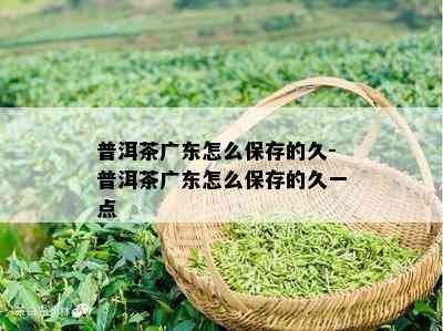 普洱茶广东怎么保存的久-普洱茶广东怎么保存的久一点