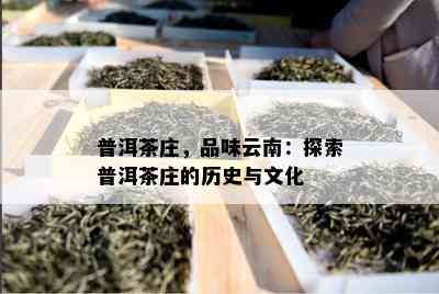 普洱茶庄，品味云南：探索普洱茶庄的历史与文化