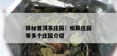 探秘普洱茶庄园：柏联庄园等多个庄园介绍