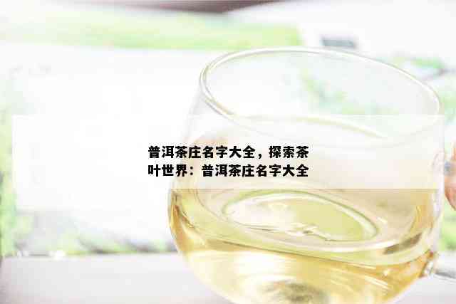 普洱茶庄名字大全，探索茶叶世界：普洱茶庄名字大全