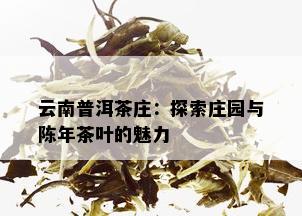 云南普洱茶庄：探索庄园与陈年茶叶的魅力