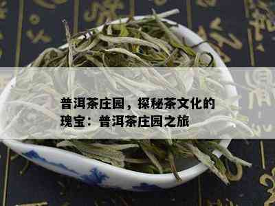 普洱茶庄园，探秘茶文化的瑰宝：普洱茶庄园之旅