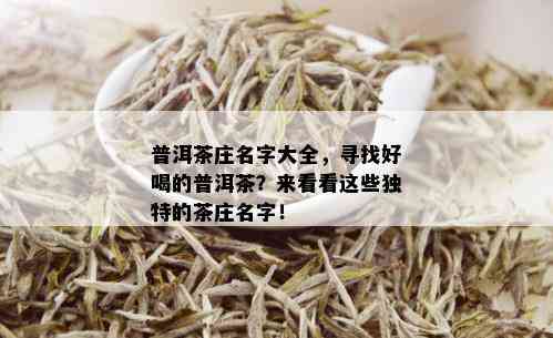 普洱茶庄名字大全，寻找好喝的普洱茶？来看看这些独特的茶庄名字！