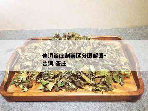 普洱茶庄制茶区分图解图-普洱 茶庄