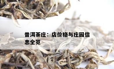 普洱茶庄：店价格与庄园信息全览