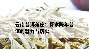 云南普洱茶庄：探索陈年普洱的魅力与历史