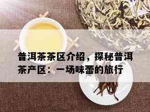 普洱茶茶区介绍，探秘普洱茶产区：一场味蕾的旅行