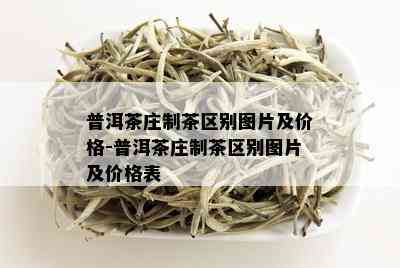 普洱茶庄制茶区别图片及价格-普洱茶庄制茶区别图片及价格表