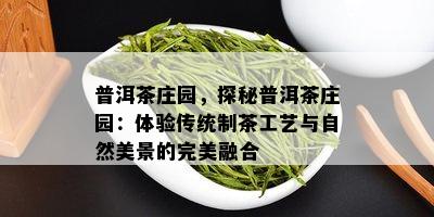 普洱茶庄园，探秘普洱茶庄园：体验传统制茶工艺与自然美景的完美融合