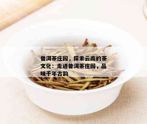 普洱茶庄园，探索云南的茶文化：走进普洱茶庄园，品味千年古韵