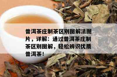 普洱茶庄制茶区别图解法图片，详解：通过普洱茶庄制茶区别图解，轻松辨识优质普洱茶！